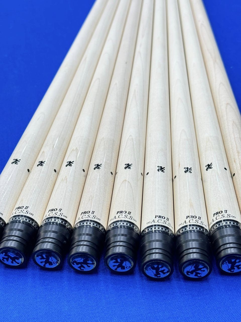 428667357_382533497852925_6532159809876338225_n