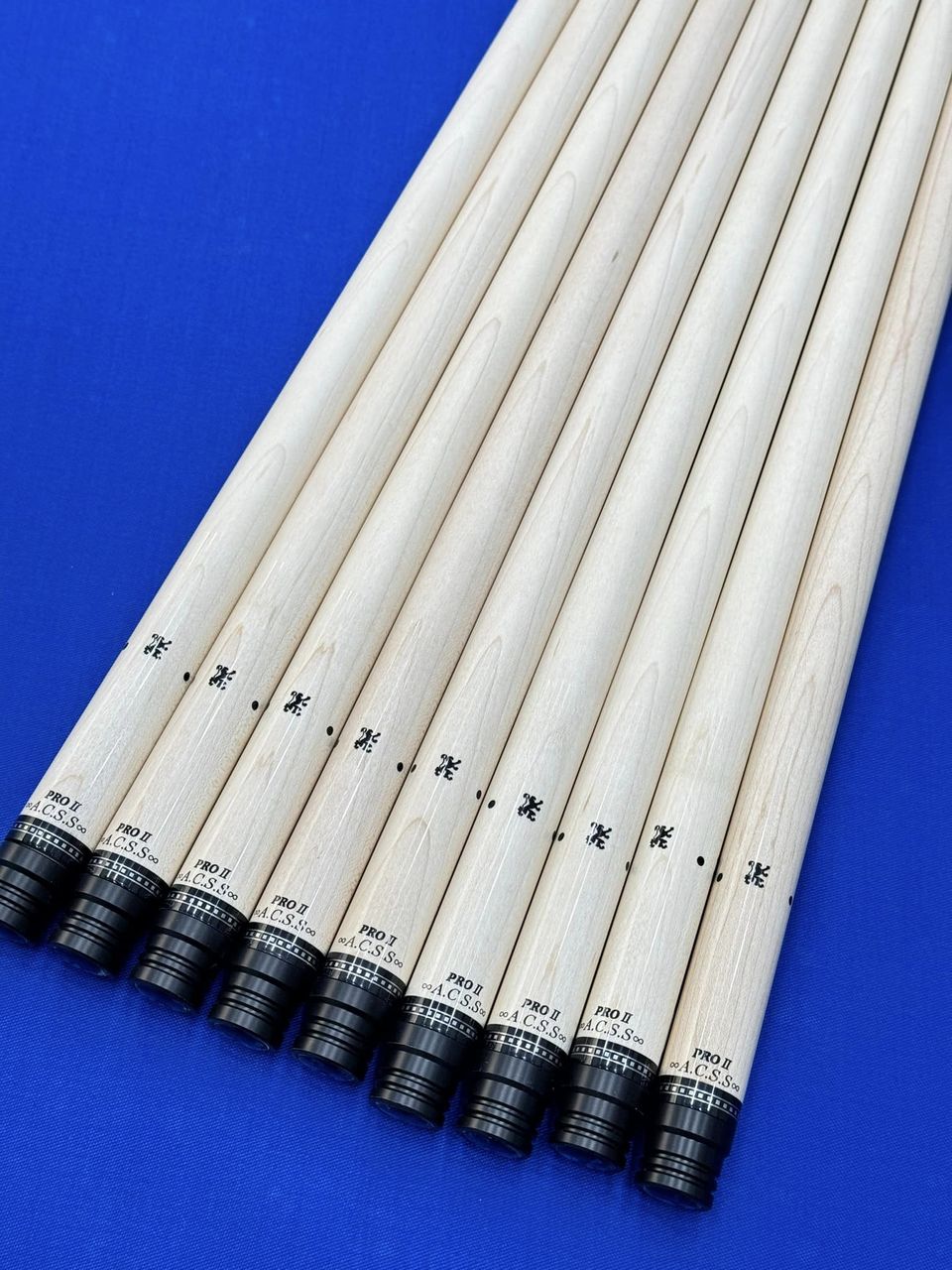 428679116_382533601186248_139937950603459579_n