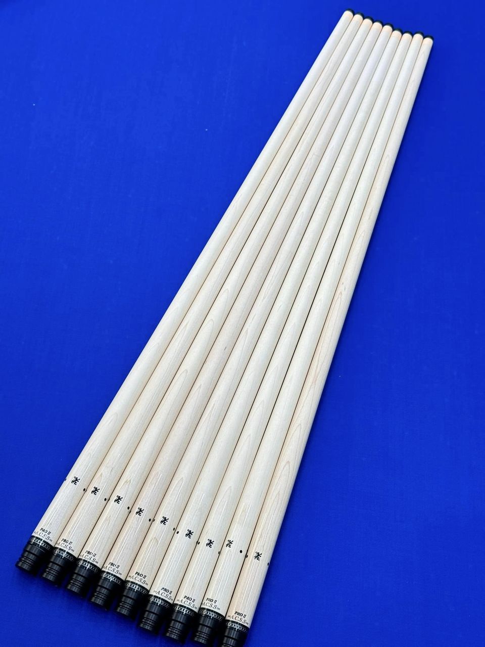 428712773_382533587852916_2153983909457095705_n