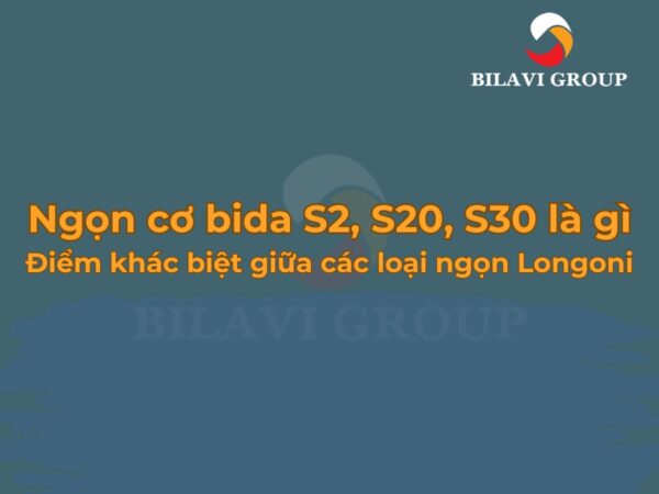 Ngọn cơ bida Longoni S2, S20, S30 nghĩa là gì?