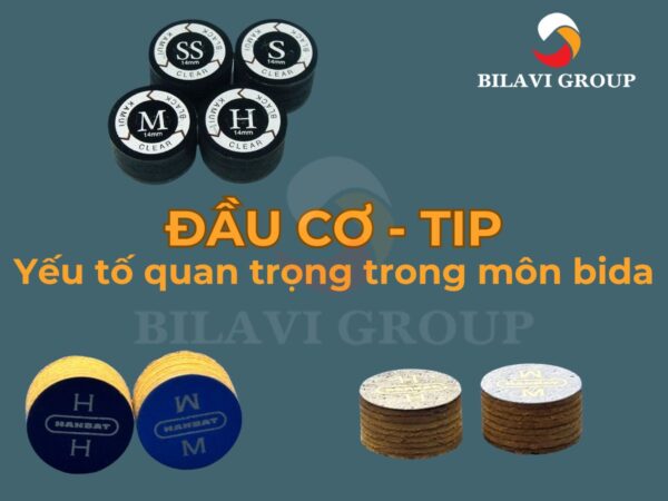 Đầu cơ bida - TIP quan trọng như thế nào đối với cơ thủ