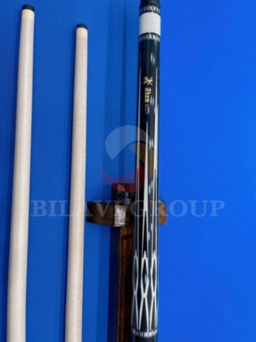 co-bida-adam-musashi-nds6 (1)