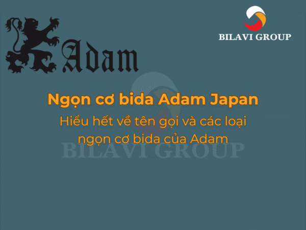 Tìm hiểu về các loại ngọn cơ bida Adam