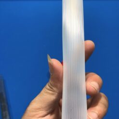 Ruốc bọc cán cơ bida Kimchi trong sọc 2