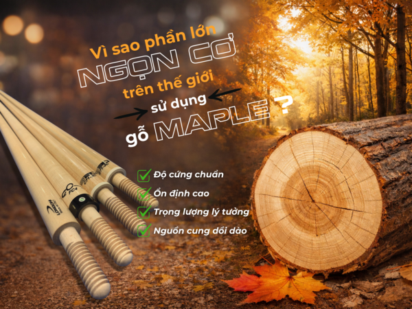Vì sao phần lớn ngọn cơ bida sử dụng gỗ maple?